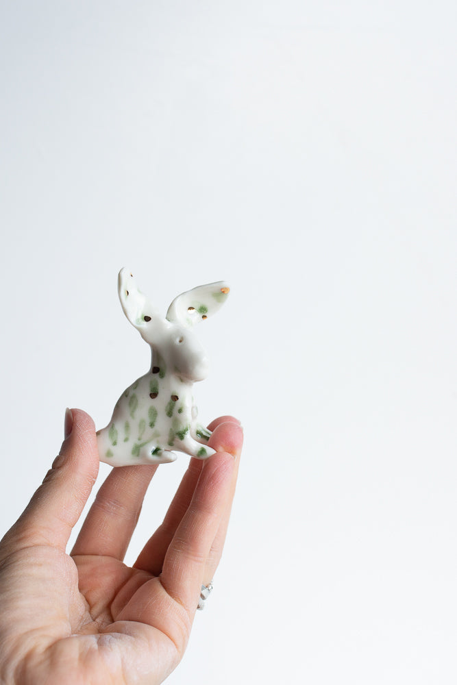 Rabbit Ruffles — soft, fluffy, and delightfully mischievous.