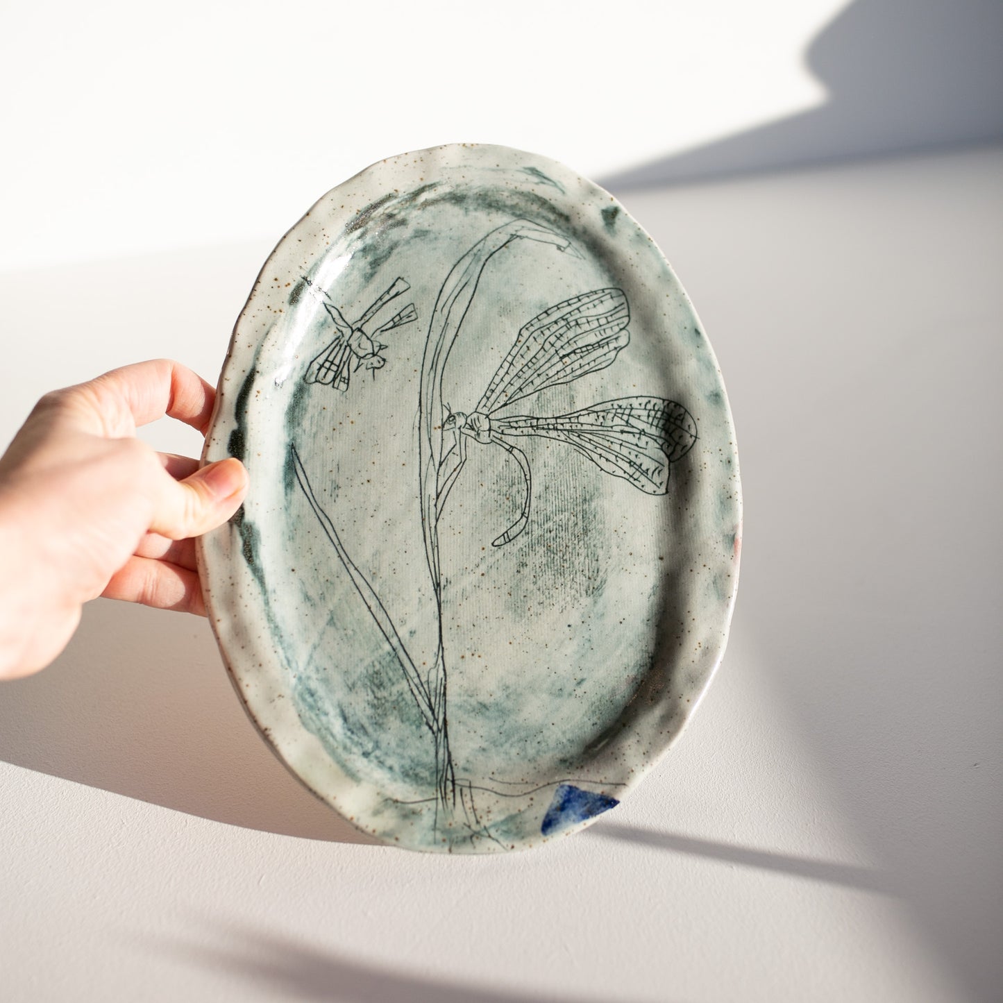 Rosemary the dragonfly | Animal Friends Plate