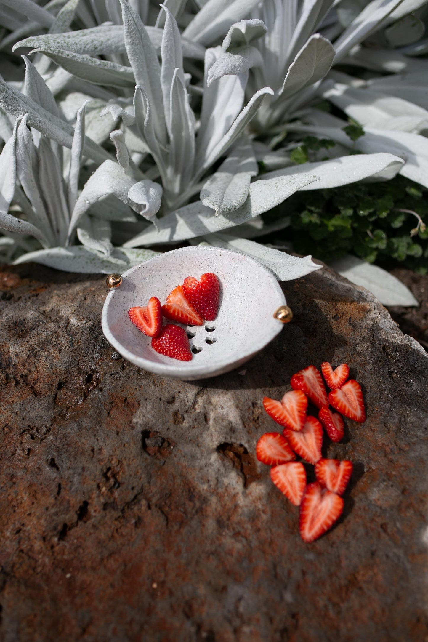 Luca | berry strainer
