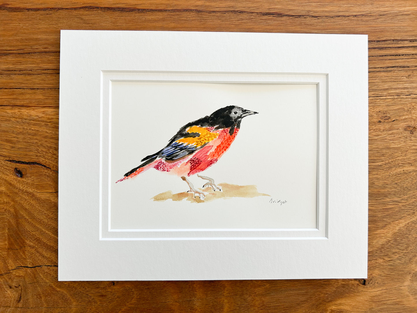 Red Robin | Original watercolour | Framed
