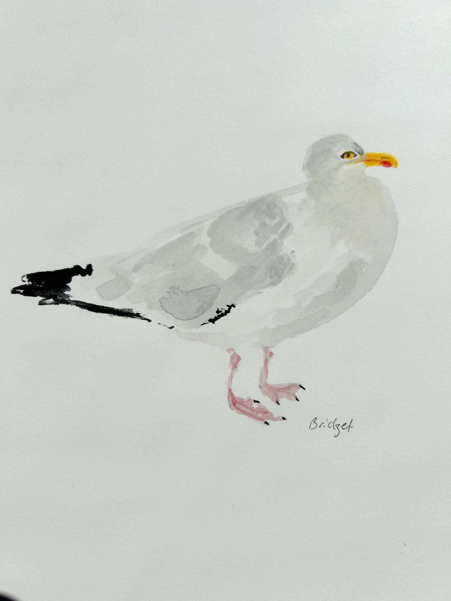 Seagull | Original watercolour | Framed