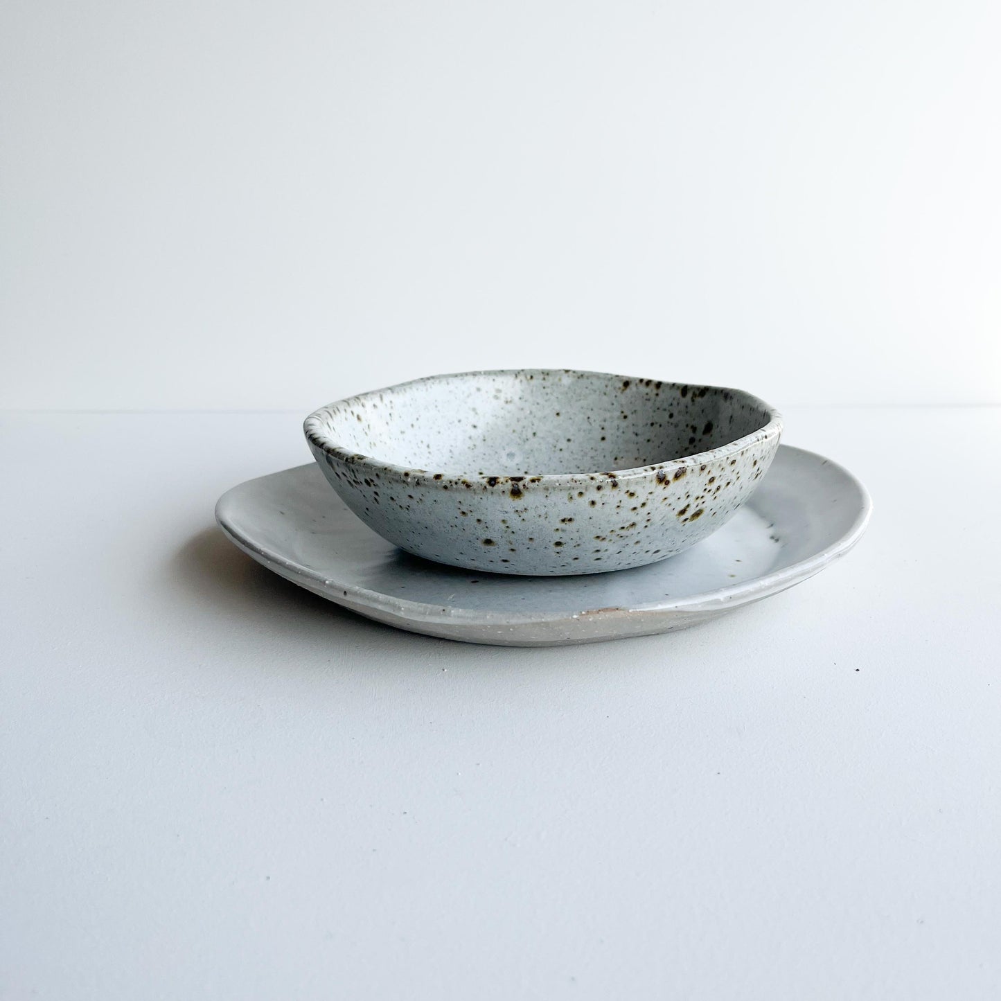 Dinner set everyday bowl set of 2