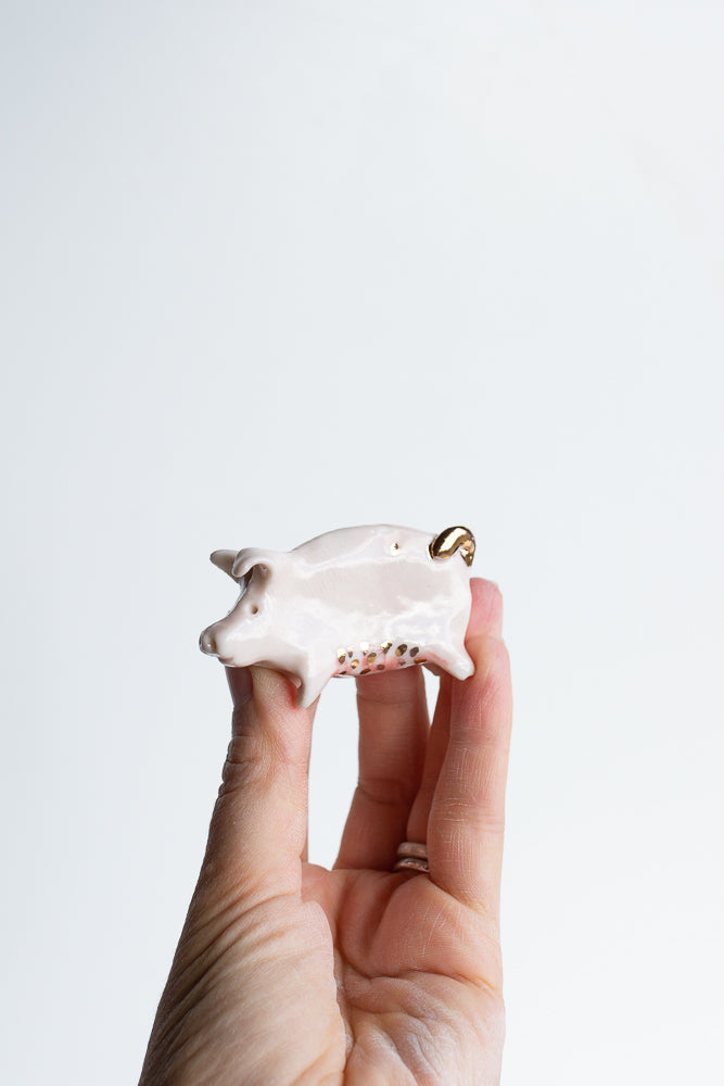 Puddle Pig — always looking for the next muddy adventure!