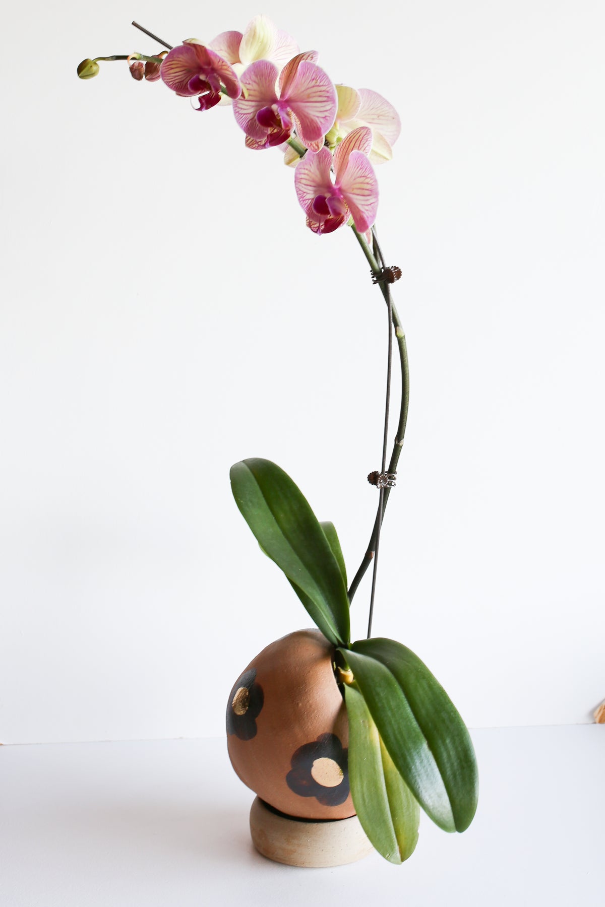 Tilt planter