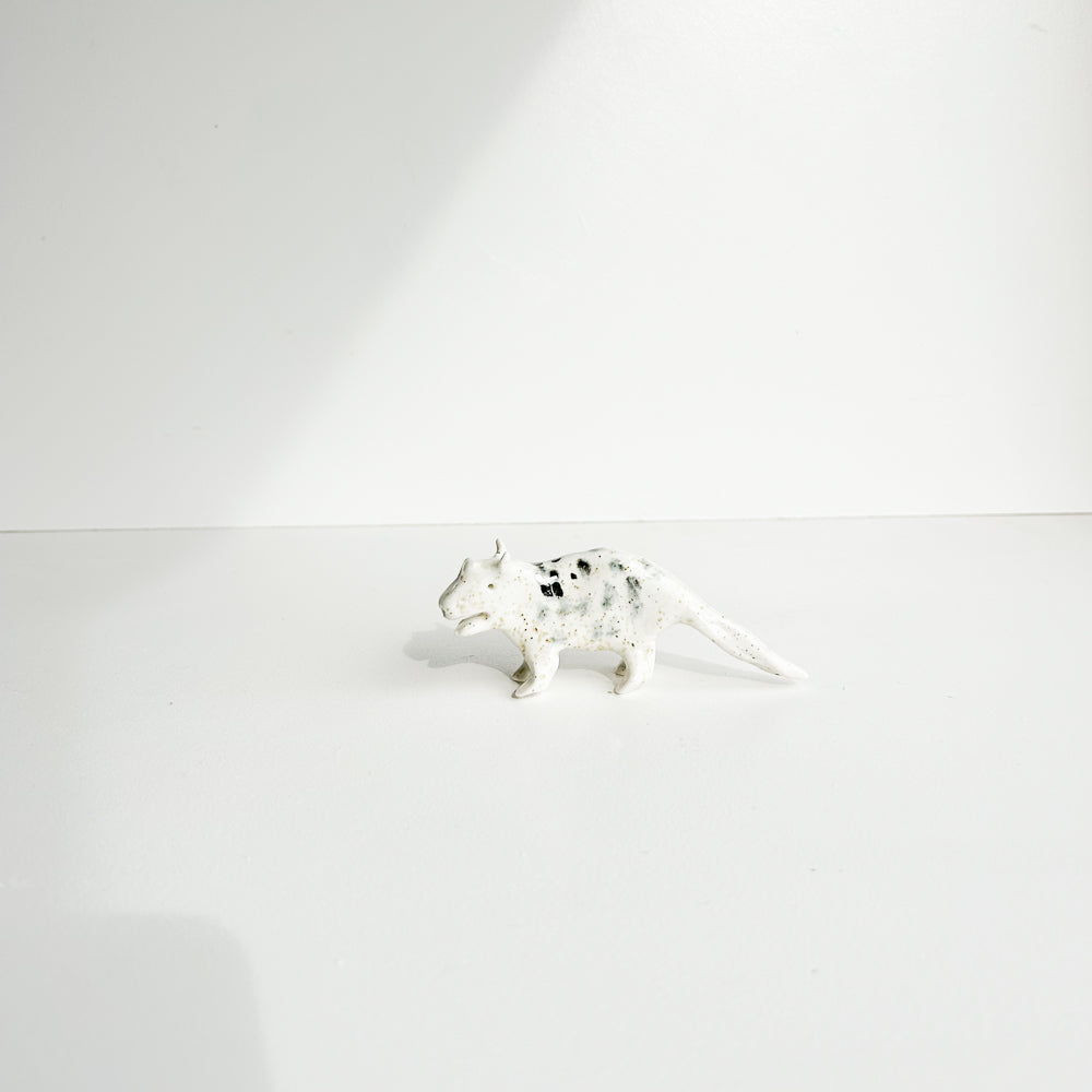 Tassie tiger, small enough to hold, cute enough to keep.