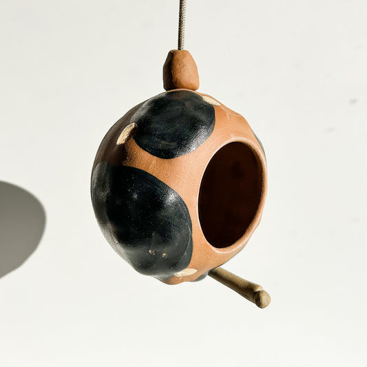 Bird Feeder