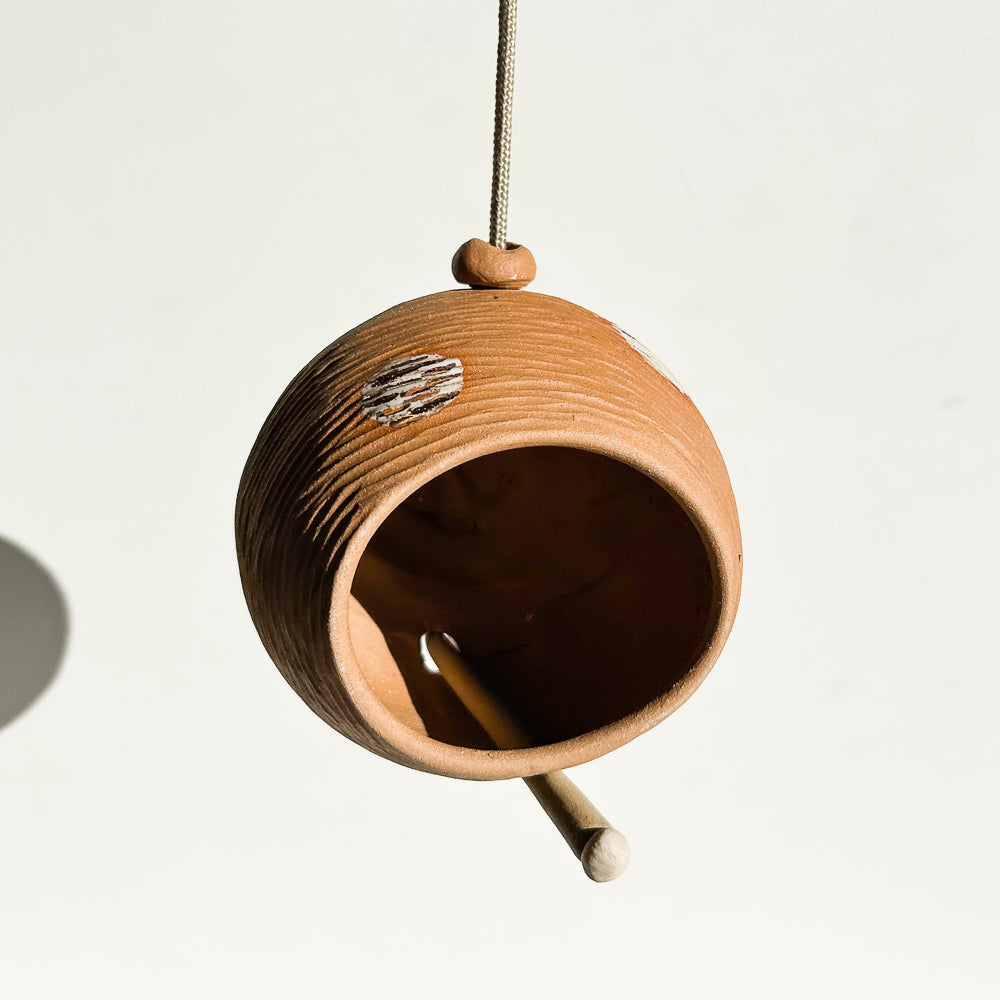 Bird Feeder