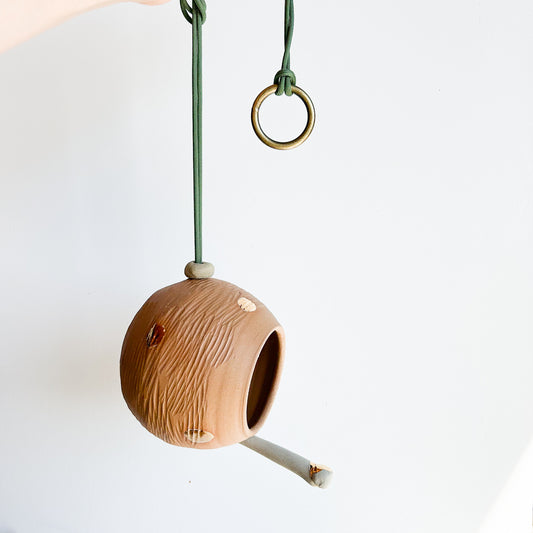 Bird Feeder