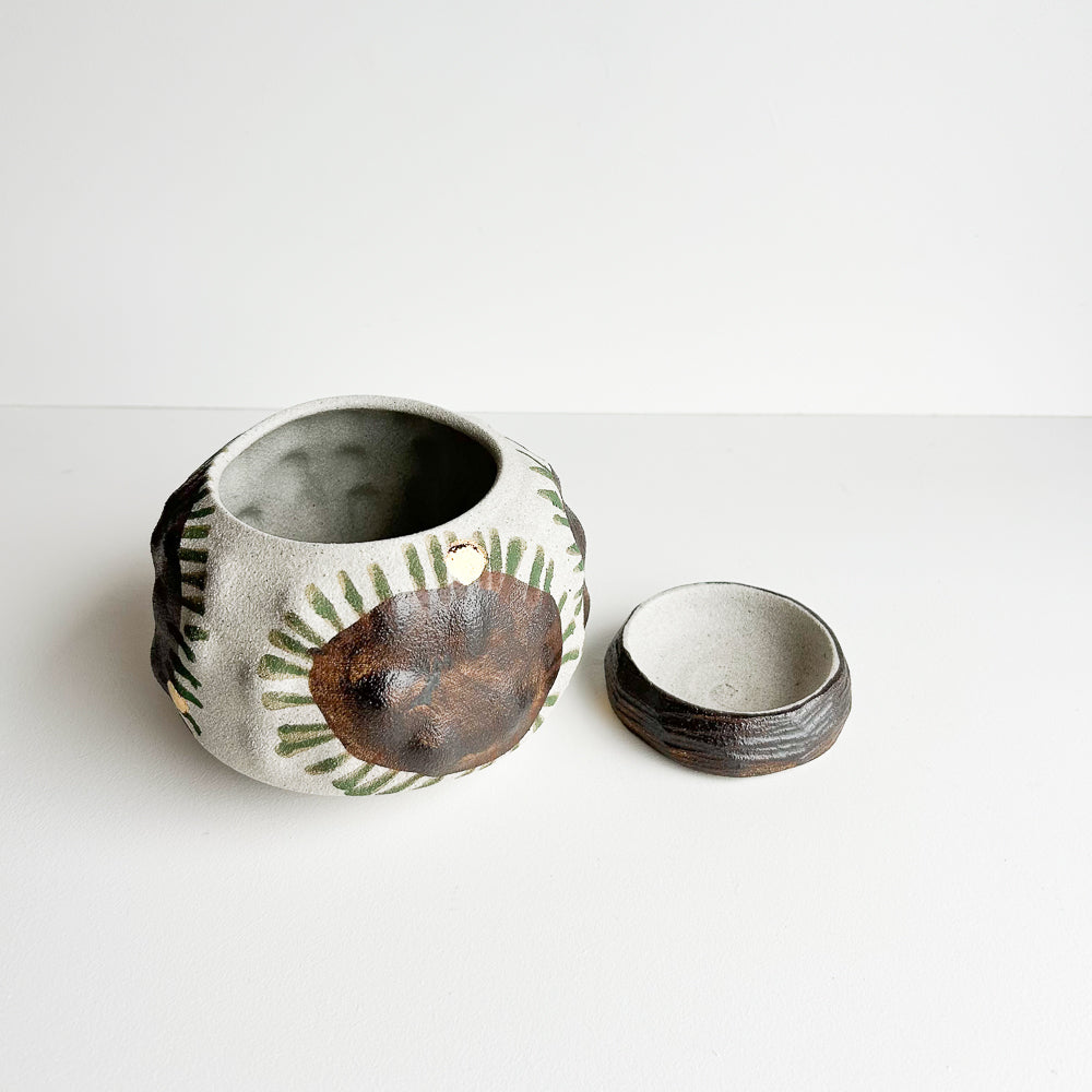 Cactus planter with saucer/stand