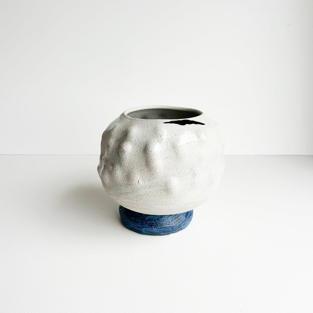 Cactus planter with saucer/stand