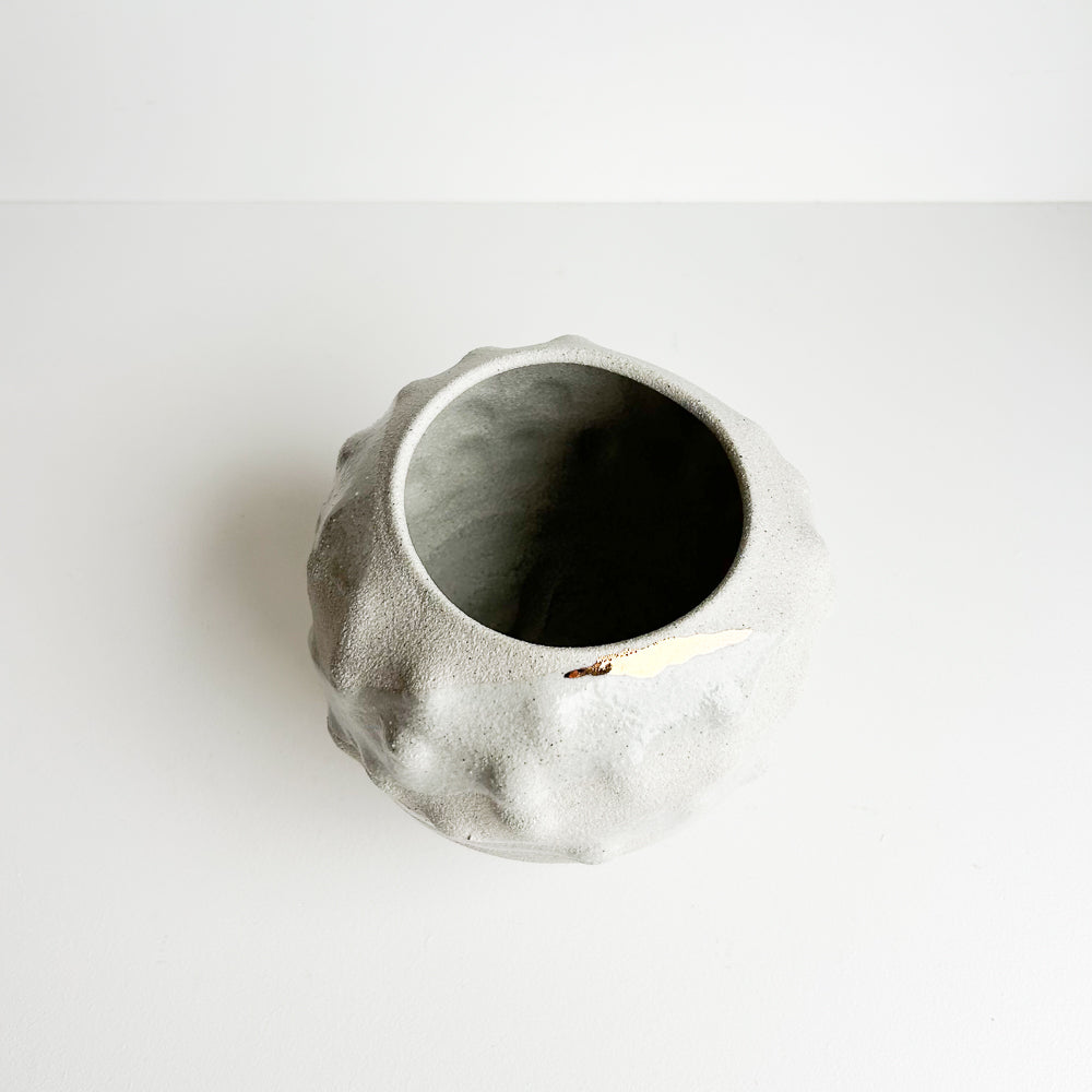 Cactus planter with saucer/stand