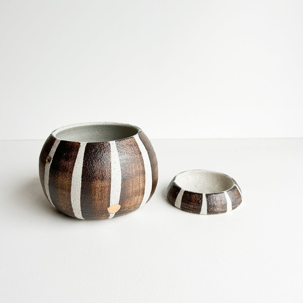 Cactus planter with saucer/stand