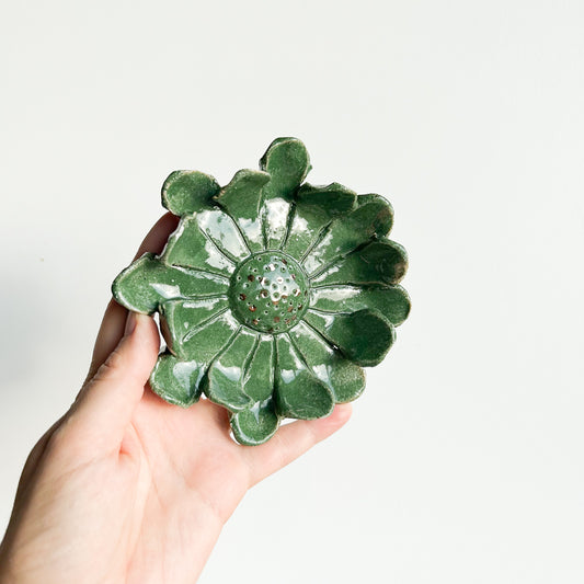 Wall Flower