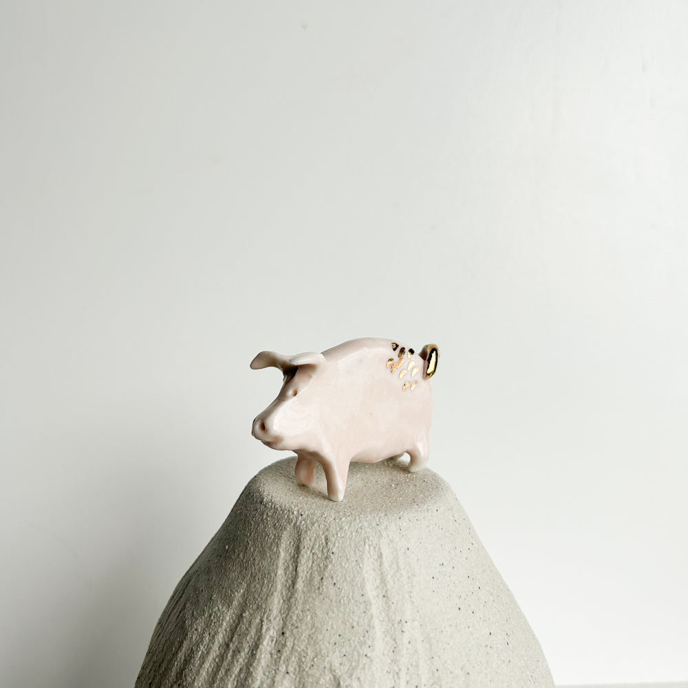 Puddle Pig — always looking for the next muddy adventure!