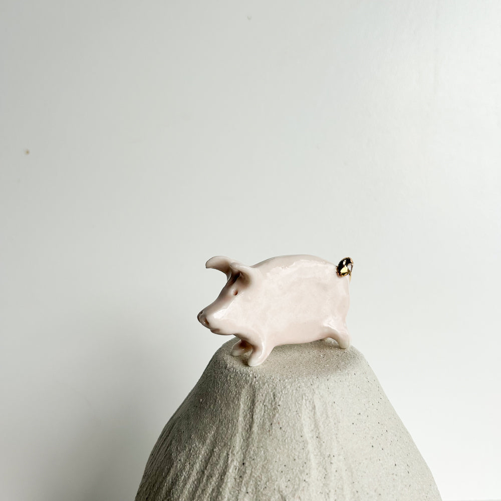Puddle Pig — always looking for the next muddy adventure!