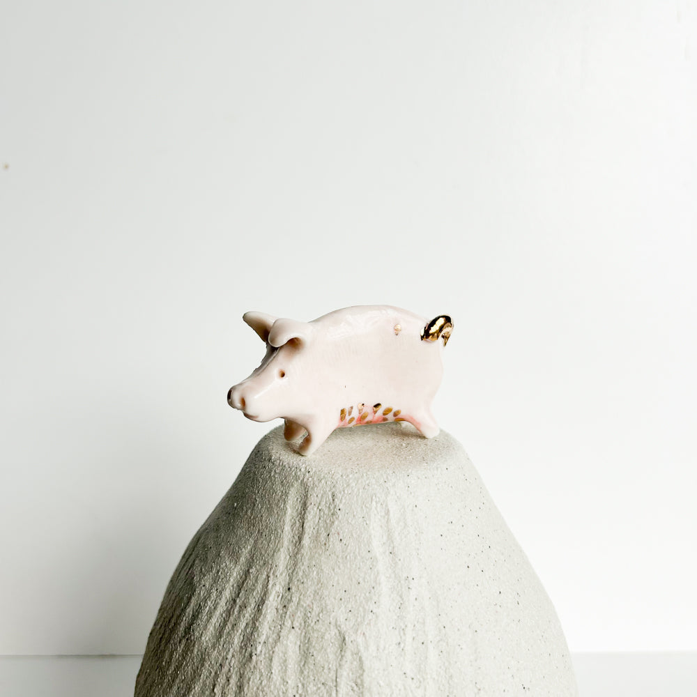 Puddle Pig — always looking for the next muddy adventure!