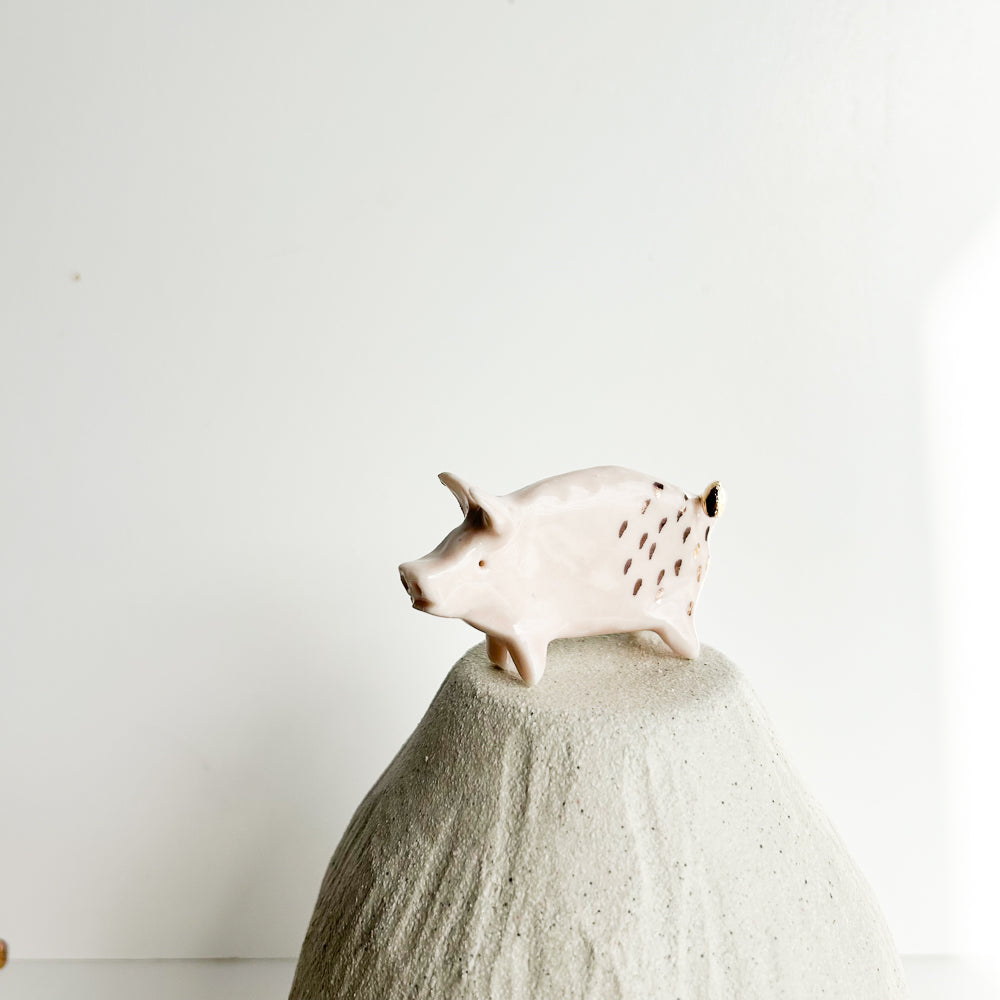 Puddle Pig — always looking for the next muddy adventure!