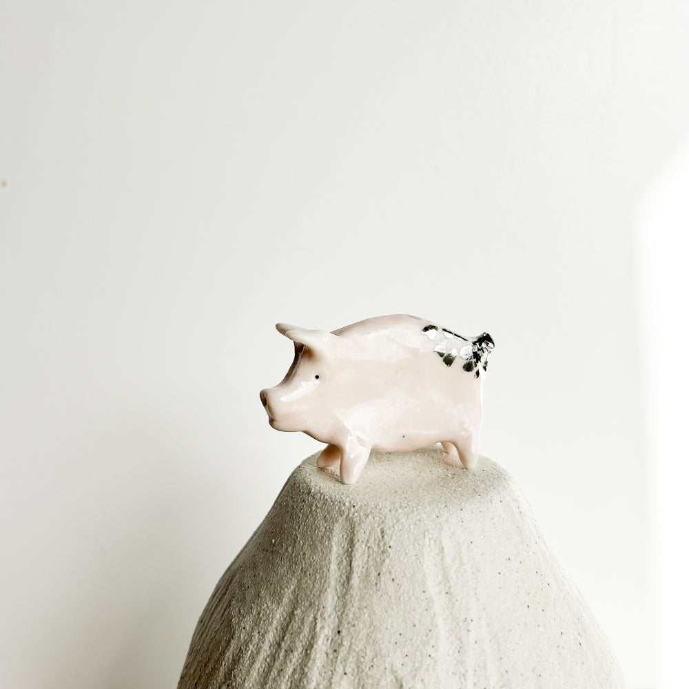 Puddle Pig — always looking for the next muddy adventure!