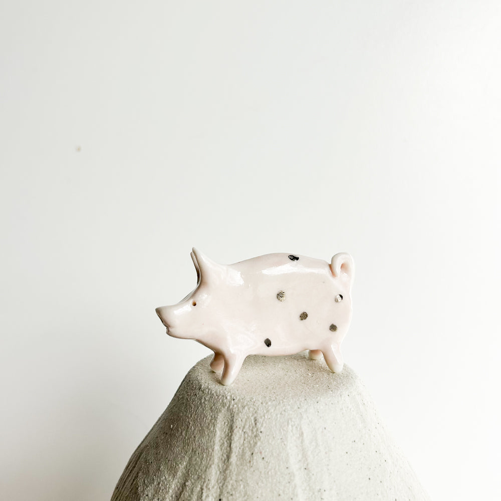 Puddle Pig — always looking for the next muddy adventure!