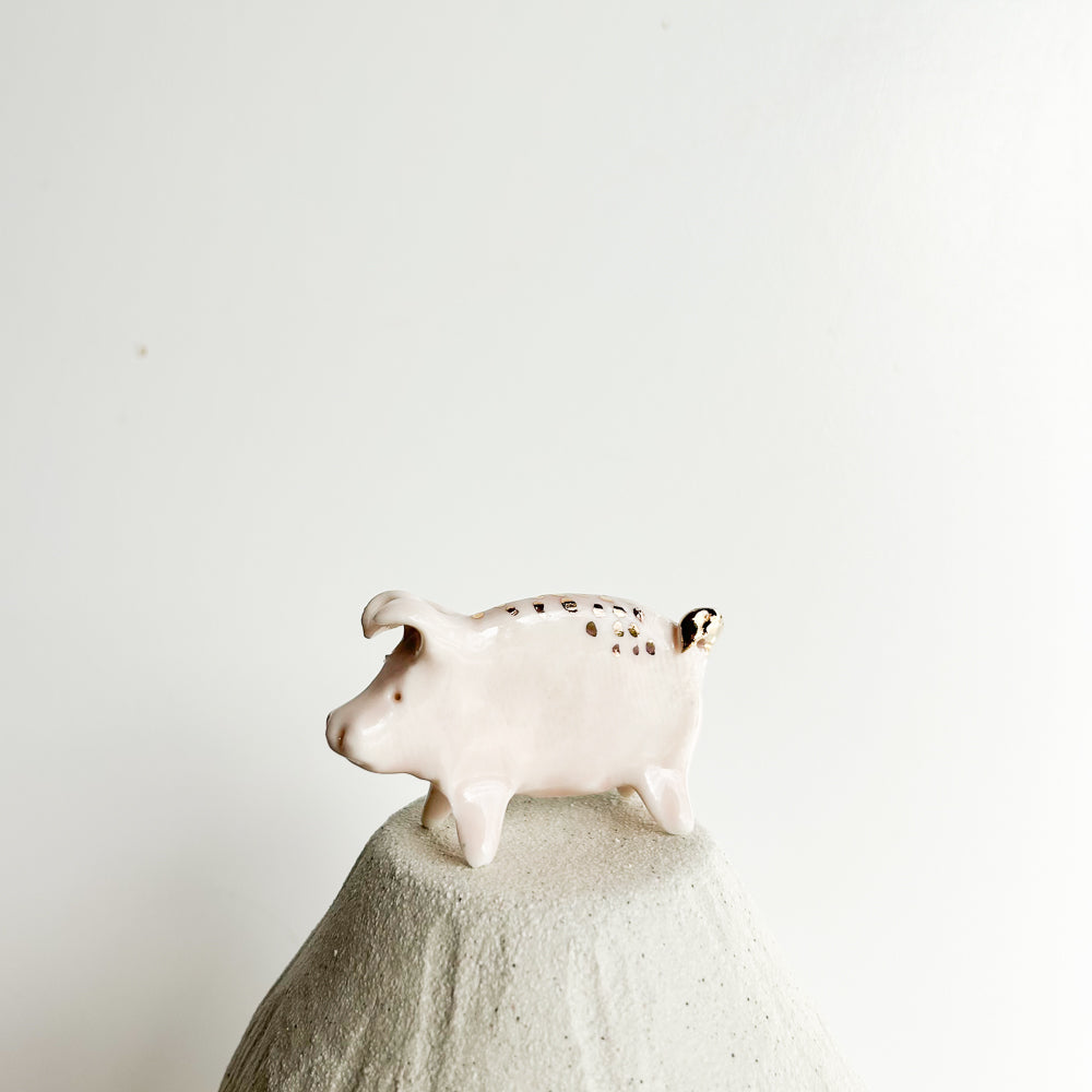 Puddle Pig — always looking for the next muddy adventure!