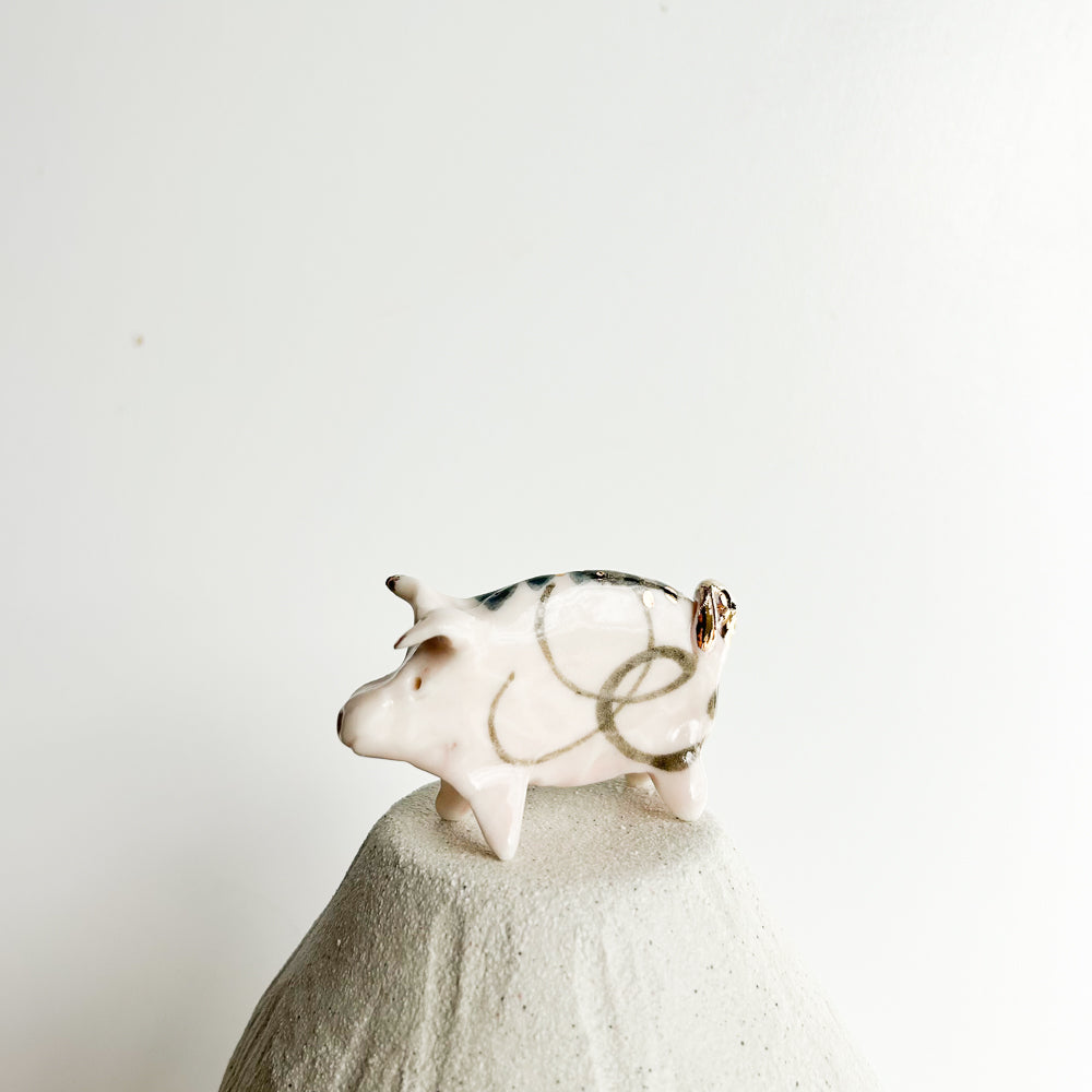 Puddle Pig — always looking for the next muddy adventure!