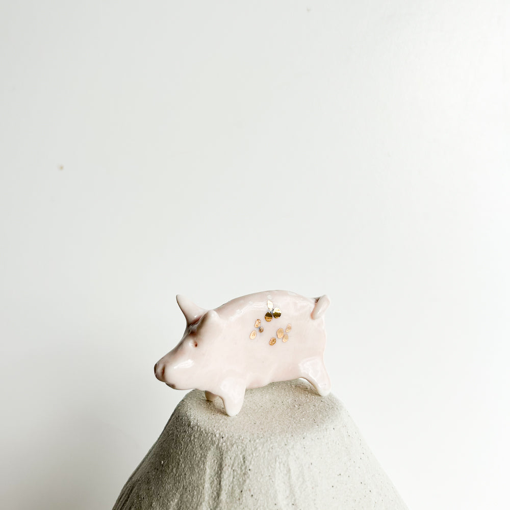 Puddle Pig — always looking for the next muddy adventure!