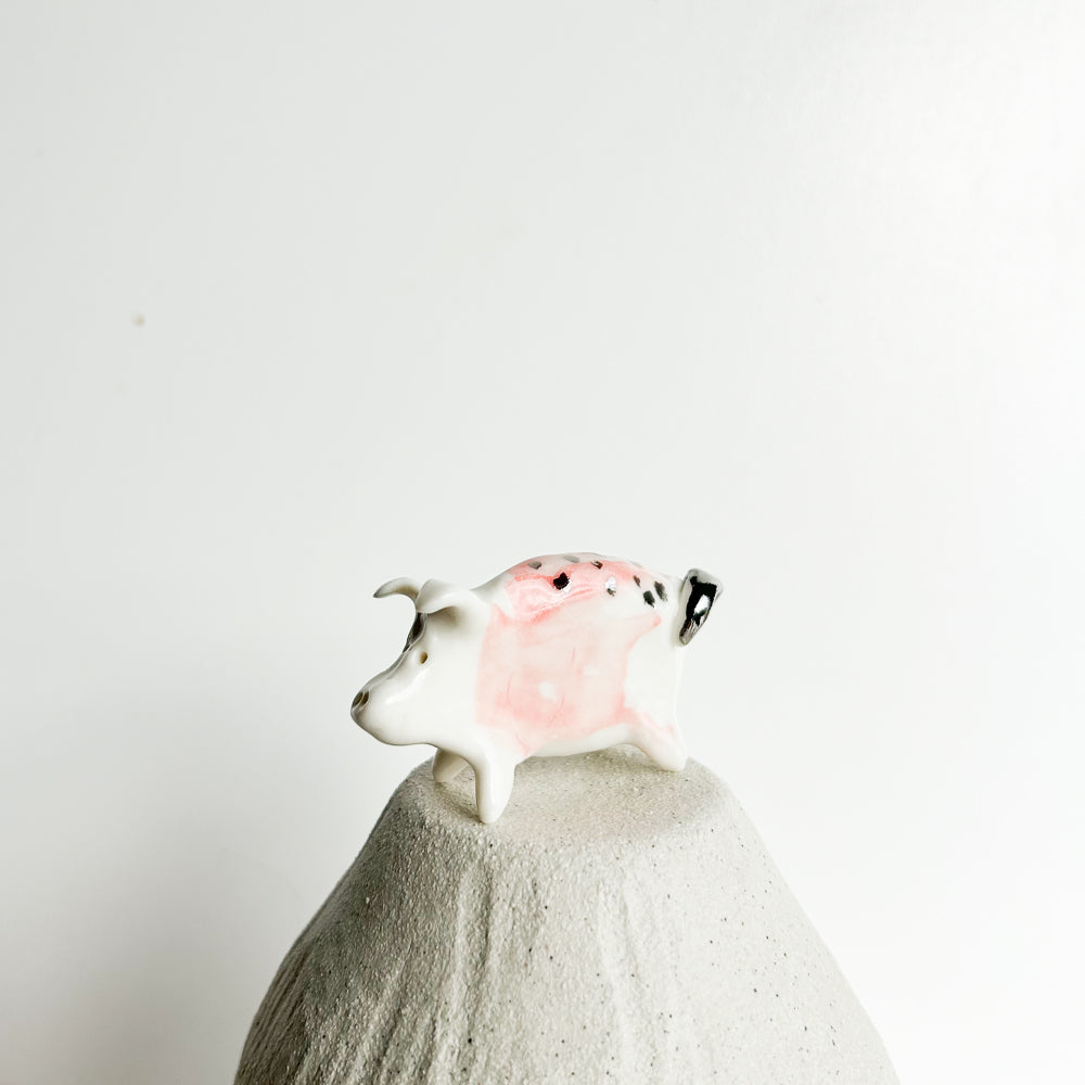 Puddle Pig — always looking for the next muddy adventure!