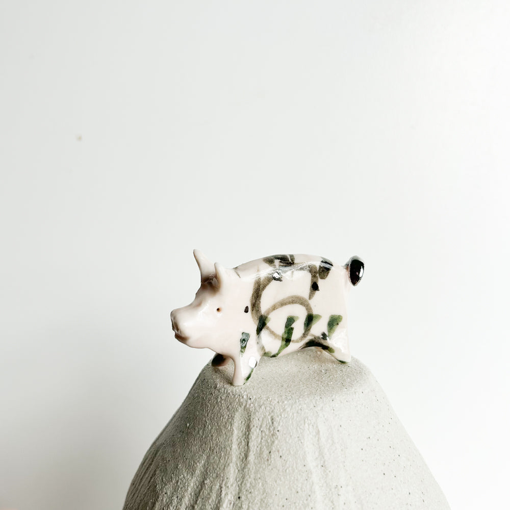 Puddle Pig — always looking for the next muddy adventure!