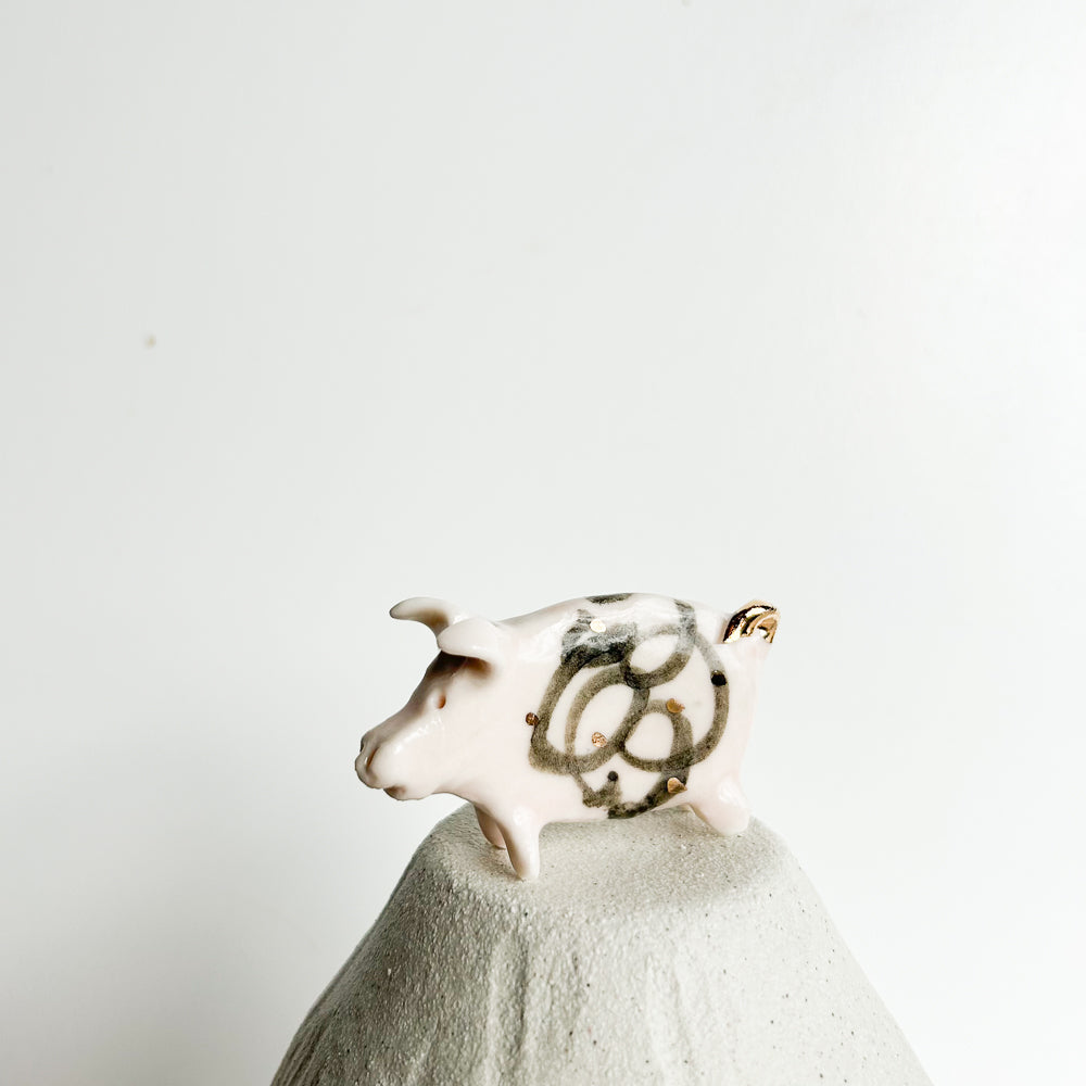 Puddle Pig — always looking for the next muddy adventure!