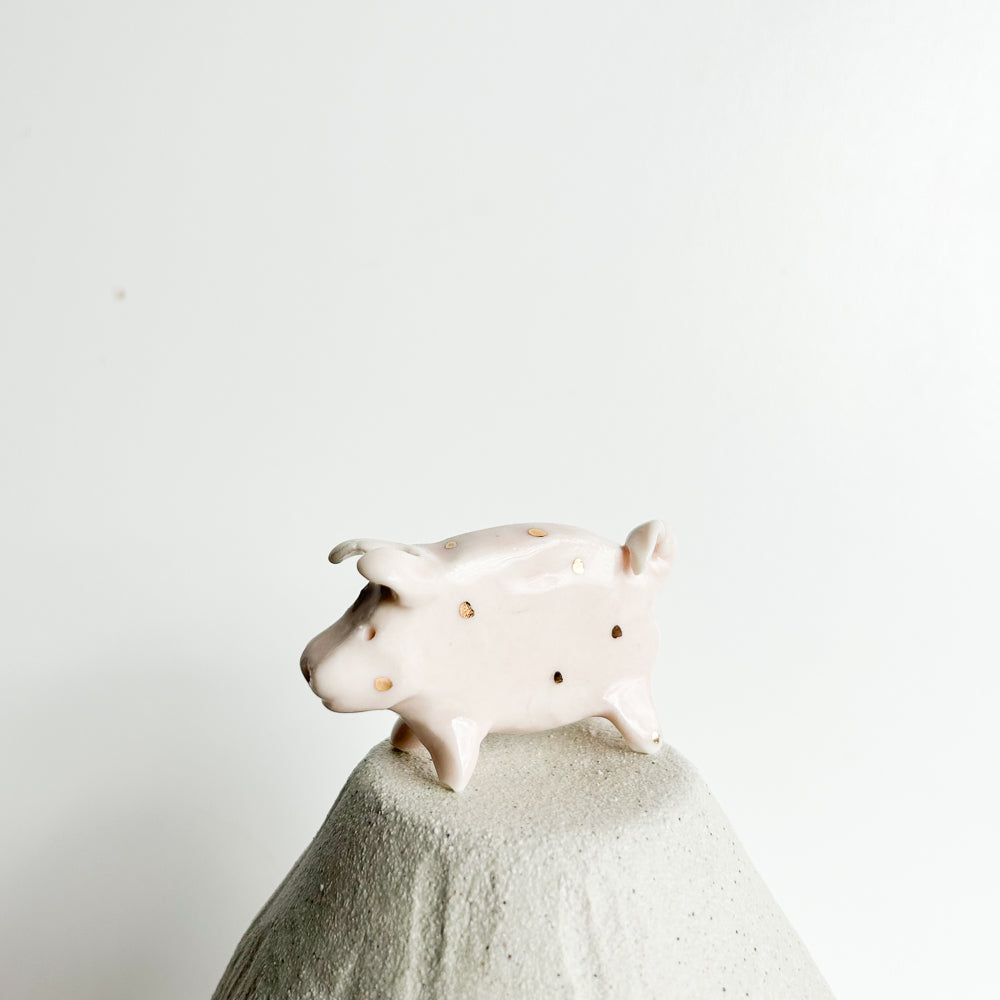 Puddle Pig — always looking for the next muddy adventure!
