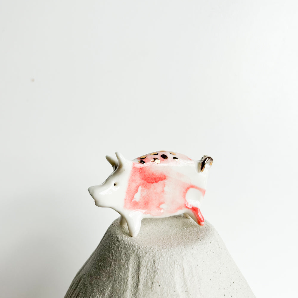Puddle Pig — always looking for the next muddy adventure!