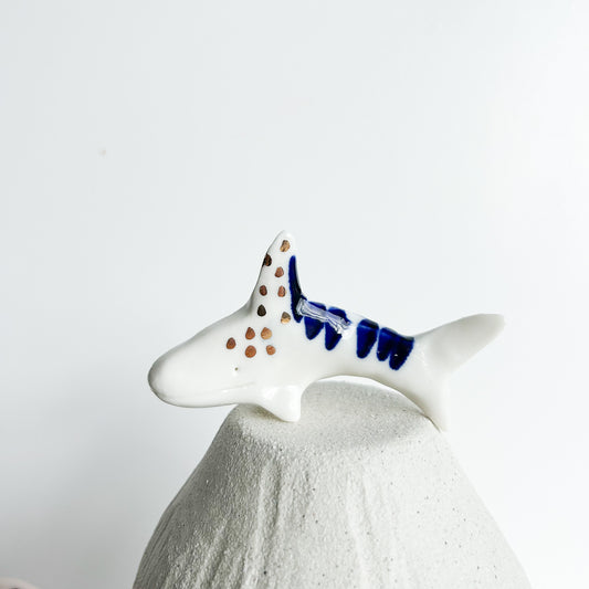 Shark Finn — a little shark with a big sense of adventure.