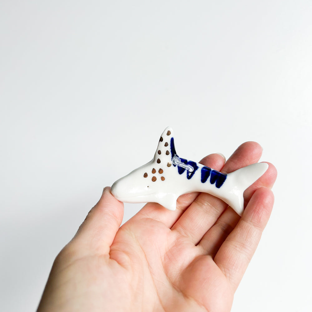 Shark Finn — a little shark with a big sense of adventure.