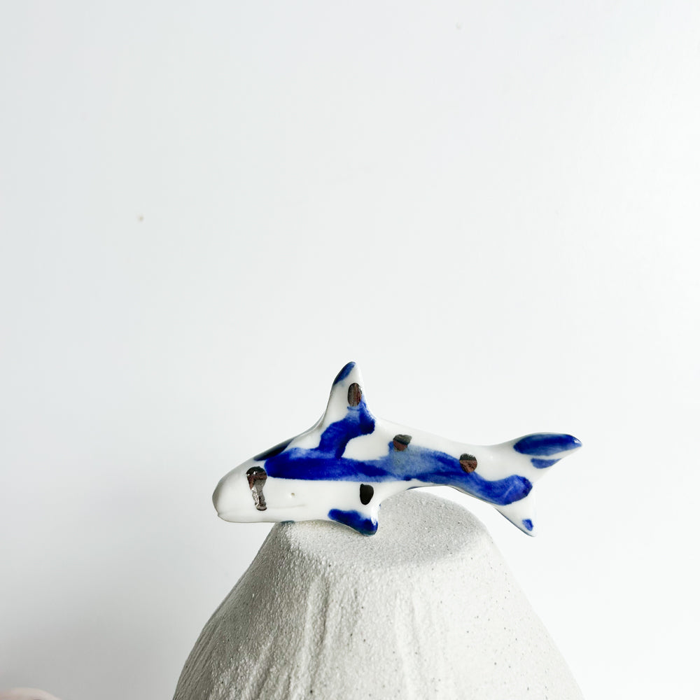 Shark Finn — a little shark with a big sense of adventure.