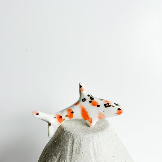 Shark Finn — a little shark with a big sense of adventure.