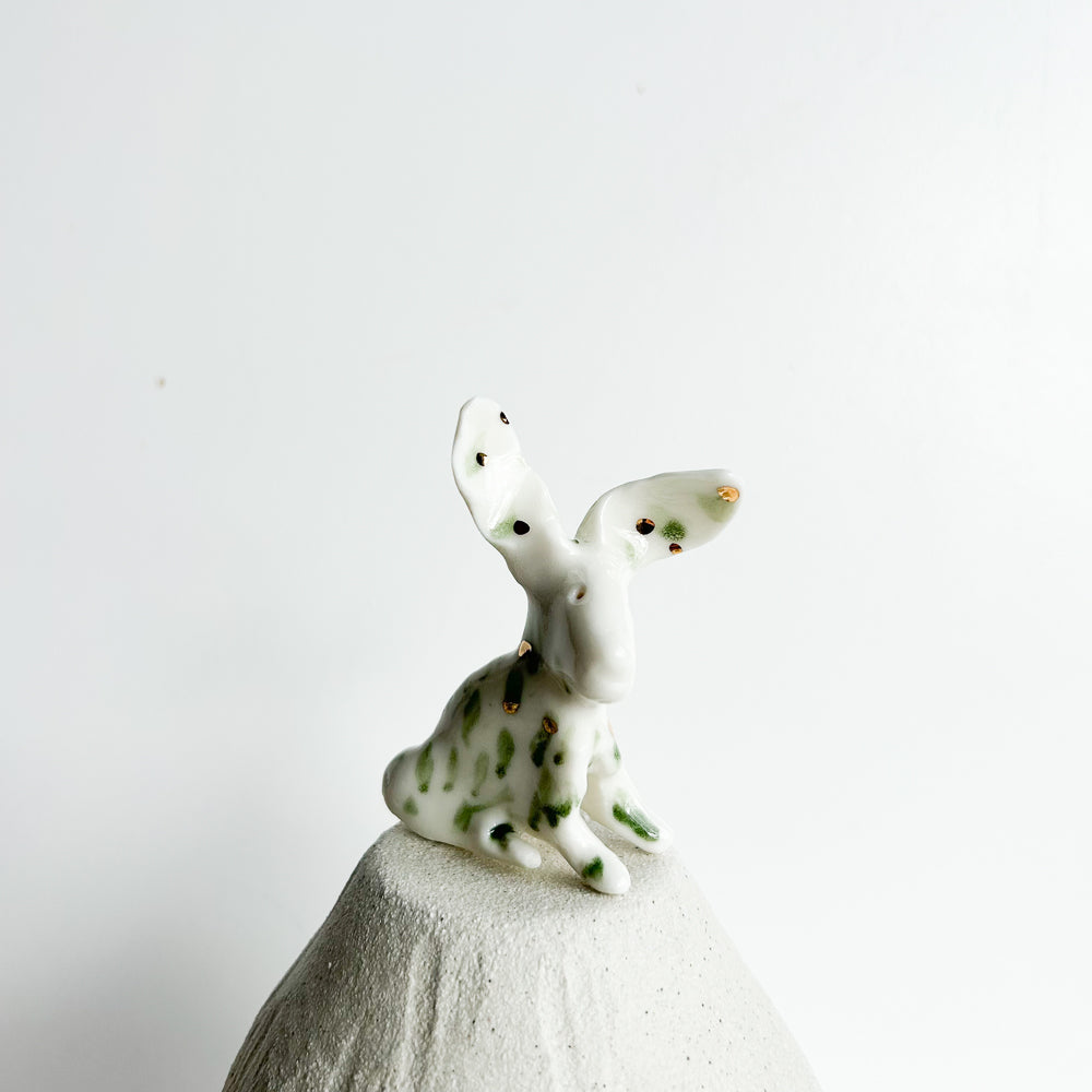 Rabbit Ruffles — soft, fluffy, and delightfully mischievous.