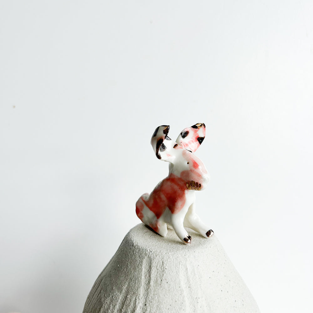 Rabbit Ruffles — soft, fluffy, and delightfully mischievous.