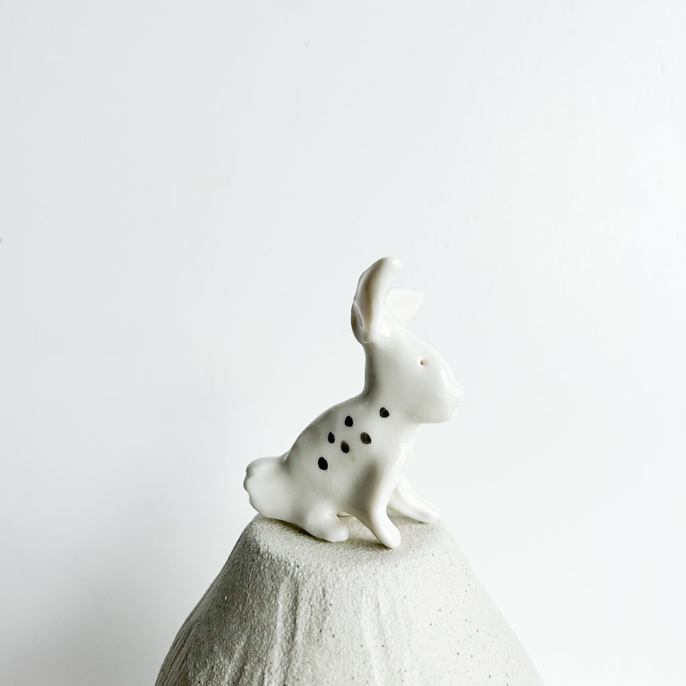 Rabbit Ruffles — soft, fluffy, and delightfully mischievous.