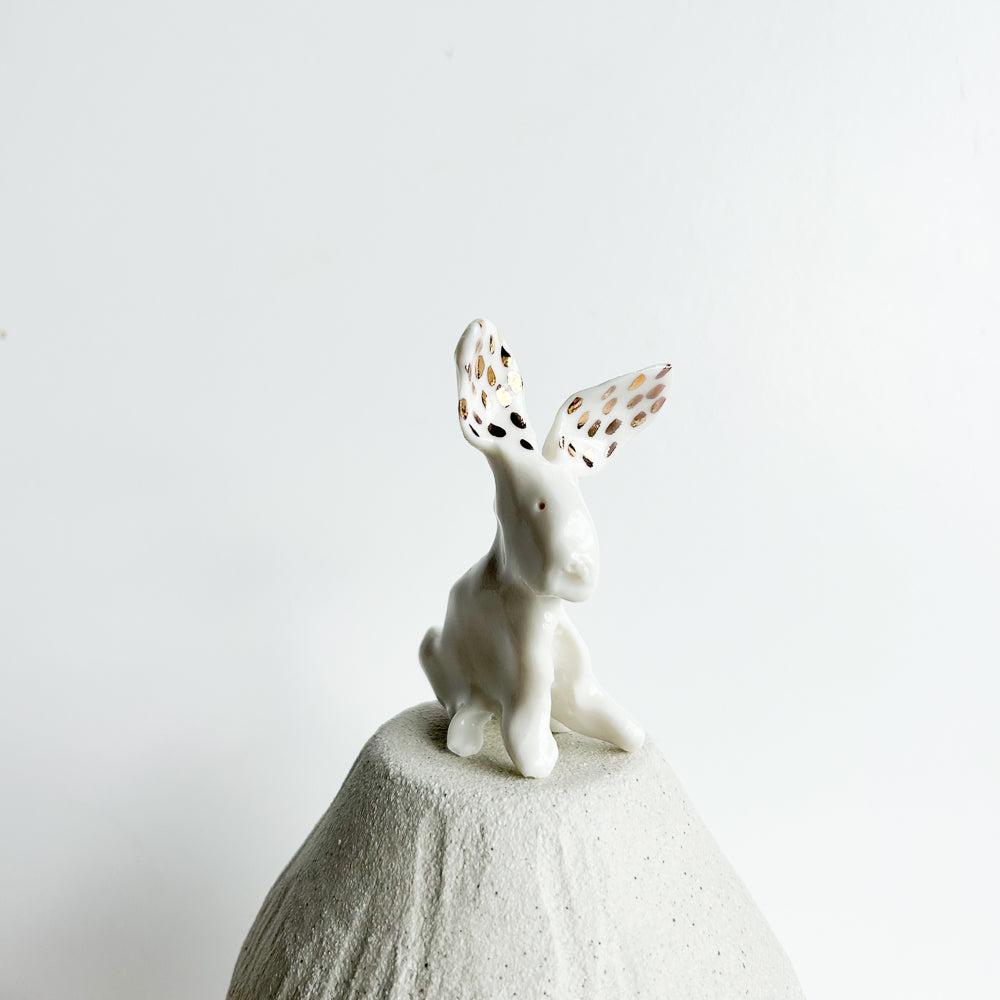 Rabbit Ruffles — soft, fluffy, and delightfully mischievous.