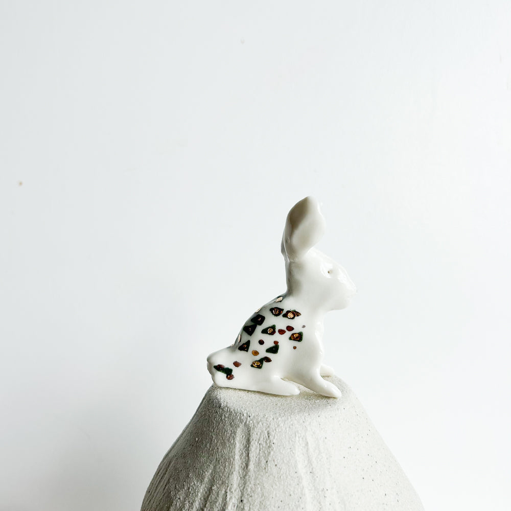 Rabbit Ruffles — soft, fluffy, and delightfully mischievous.