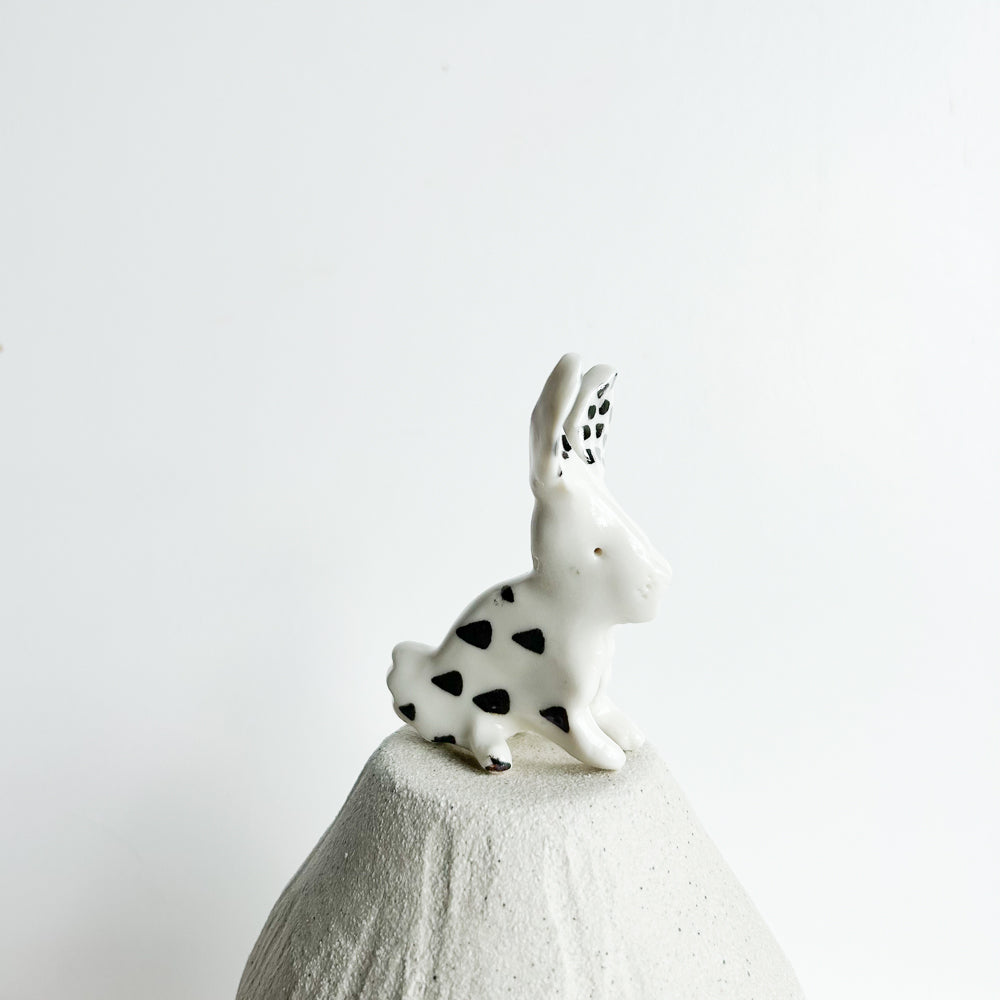 Rabbit Ruffles — soft, fluffy, and delightfully mischievous.