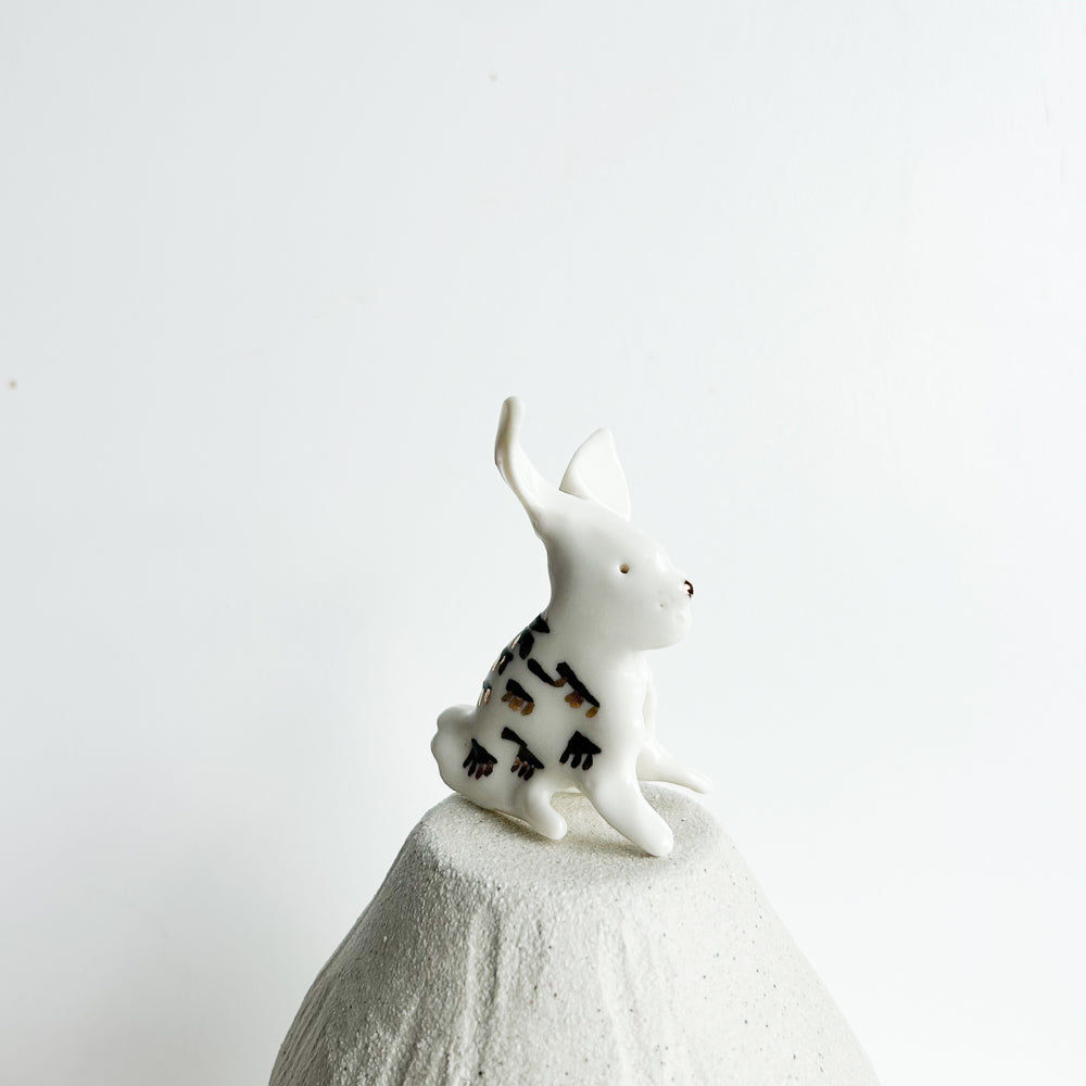 Rabbit Ruffles — soft, fluffy, and delightfully mischievous.