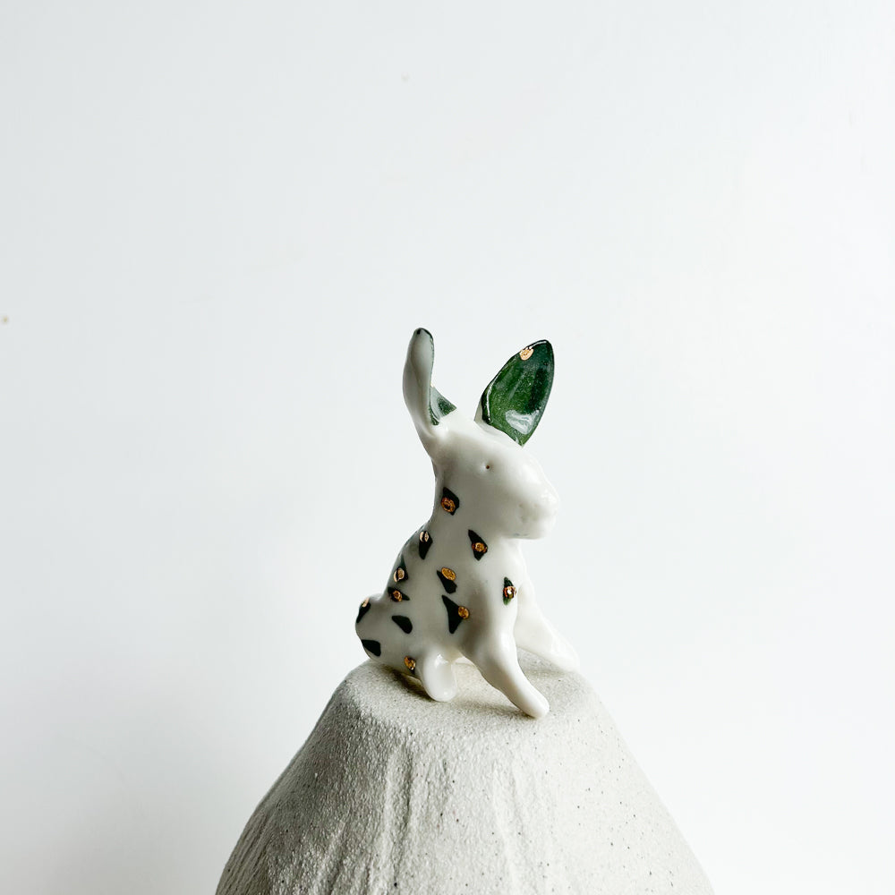 Rabbit Ruffles — soft, fluffy, and delightfully mischievous.