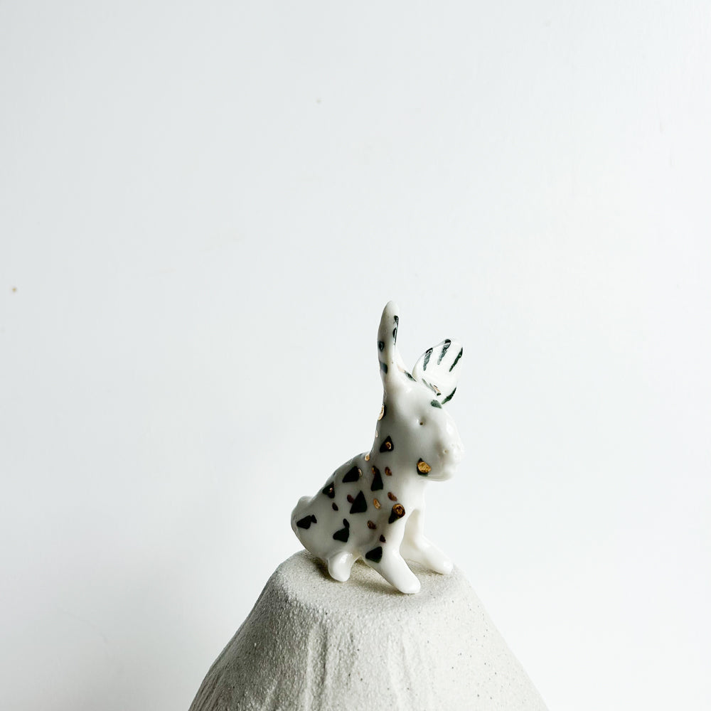 Rabbit Ruffles — soft, fluffy, and delightfully mischievous.