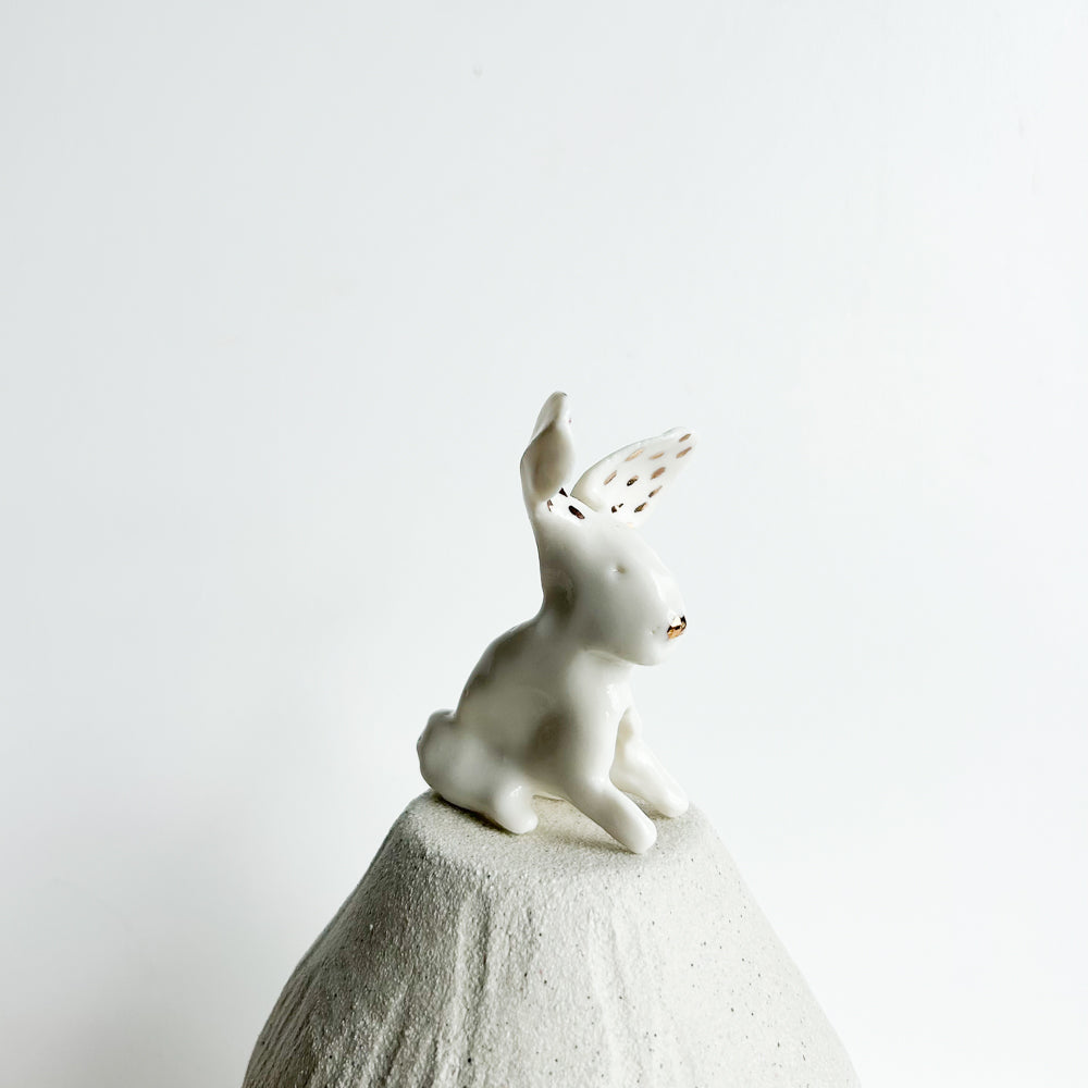 Rabbit Ruffles — soft, fluffy, and delightfully mischievous.