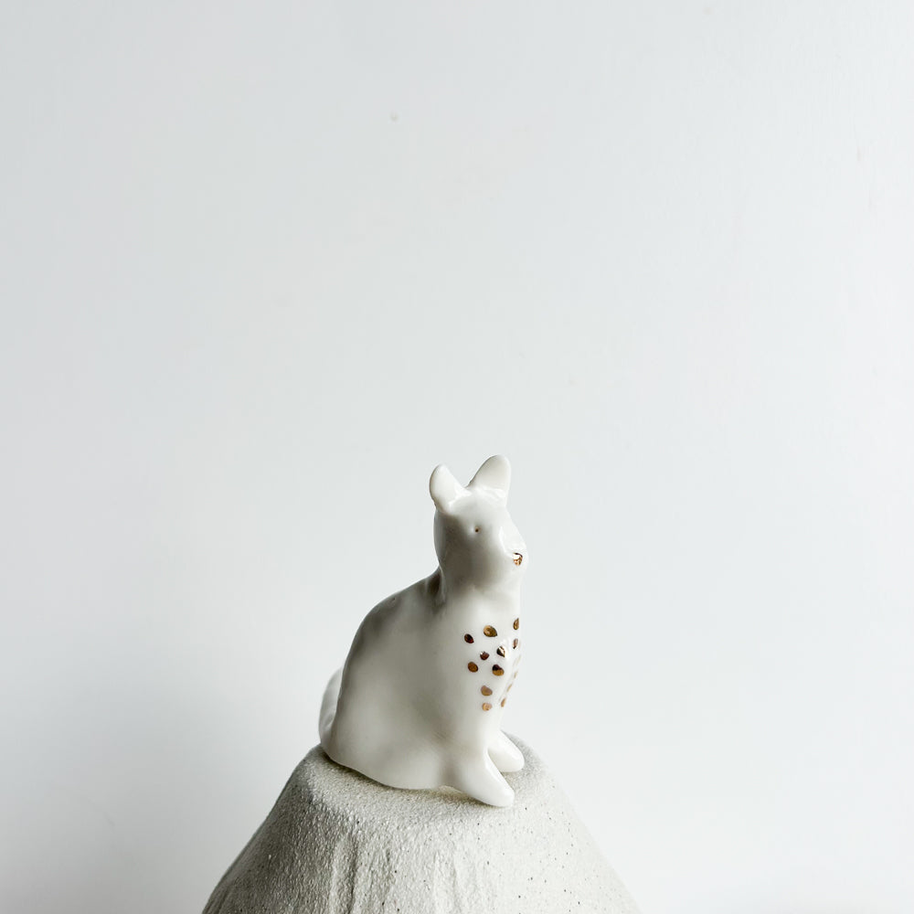 Cat Willow — graceful, gentle, and always watching the world go by.