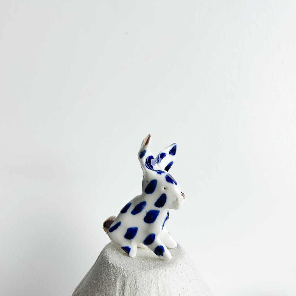 Rabbit Ruffles — soft, fluffy, and delightfully mischievous.