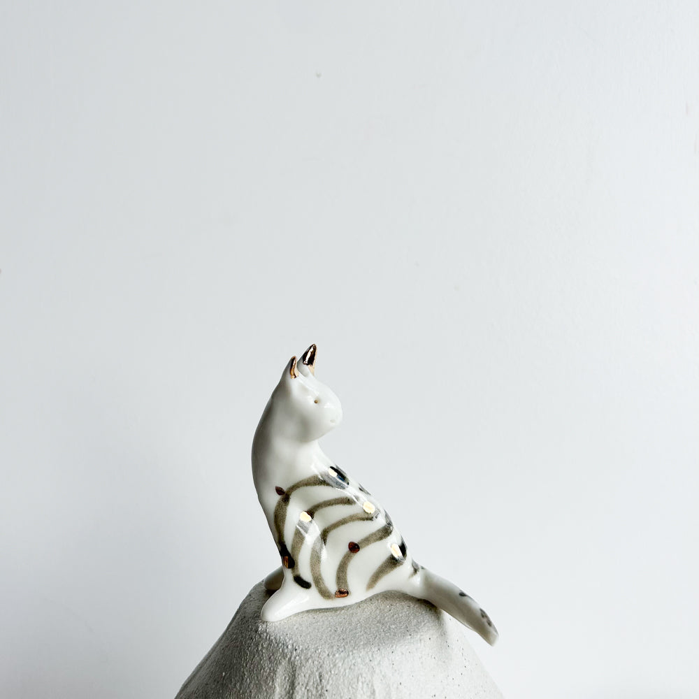 Cat Willow — graceful, gentle, and always watching the world go by.