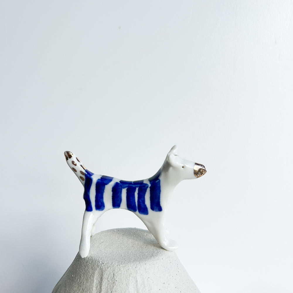 Dog Wiggles — pure joy in motion, tail always first.