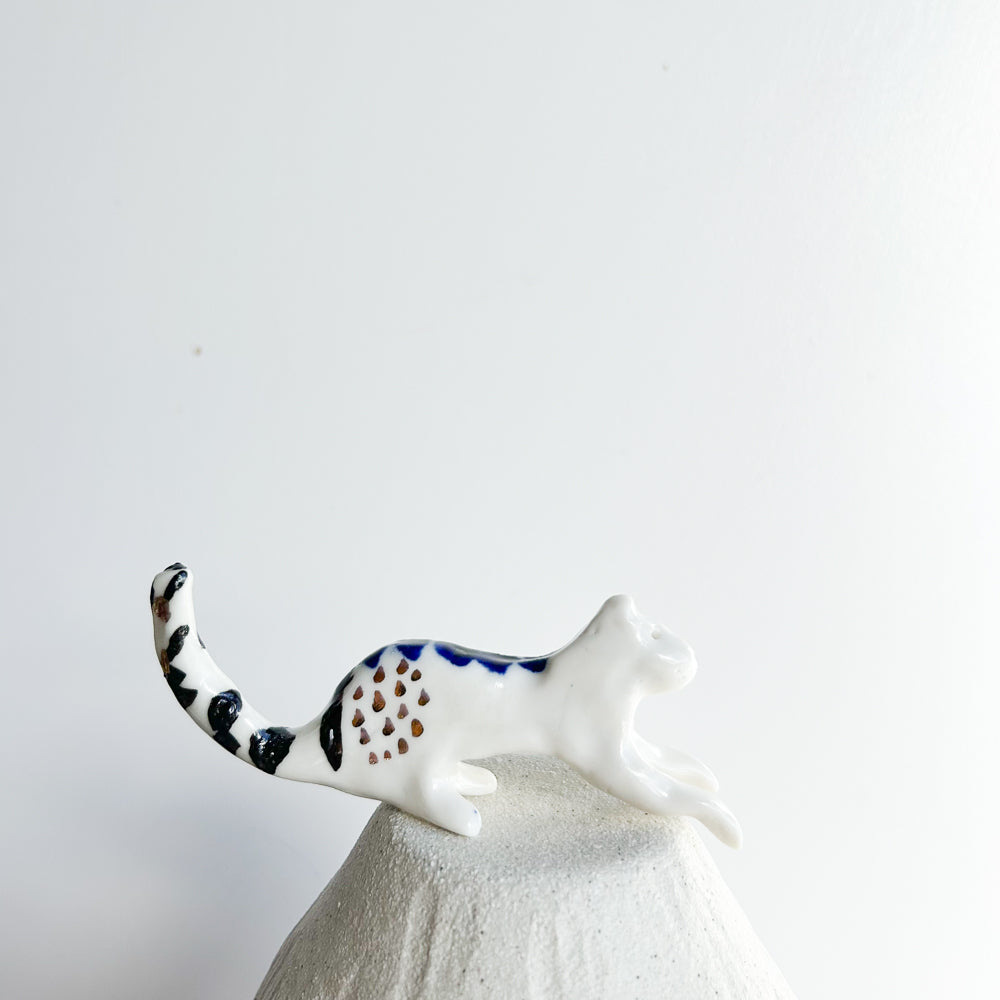 Big cat Sable — smooth, watchful, and endlessly elegant.